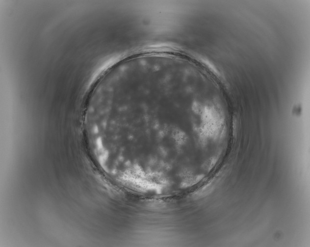 X0000091531405200709141426