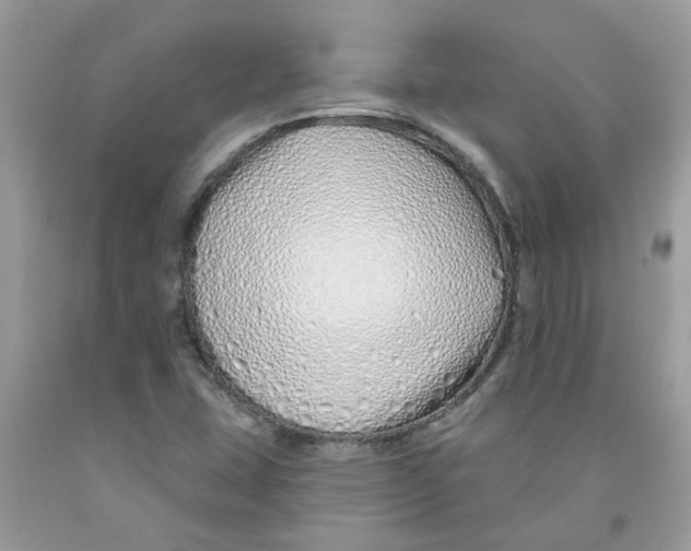 X0000091531407200709141426