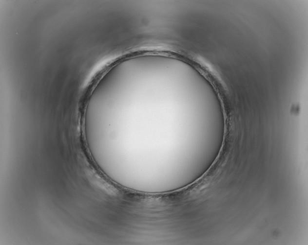 X0000091531408200709141426