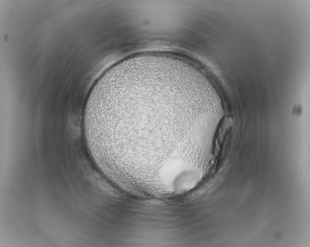 X0000091531409200709141426