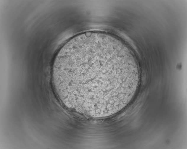 X0000091531411200709141426