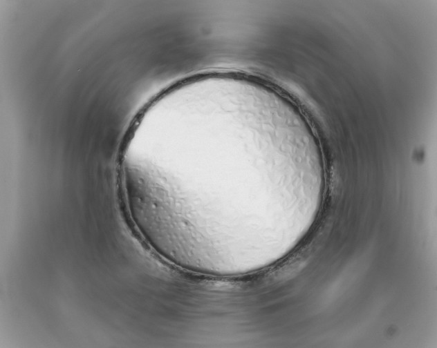 X0000091531412200709141426