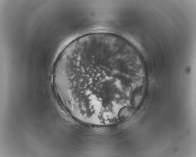 X0000091531413200709141426