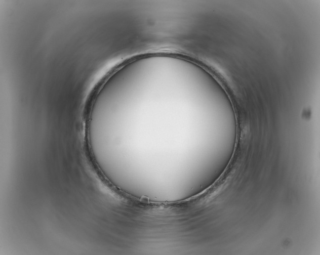 X0000091531414200709141426