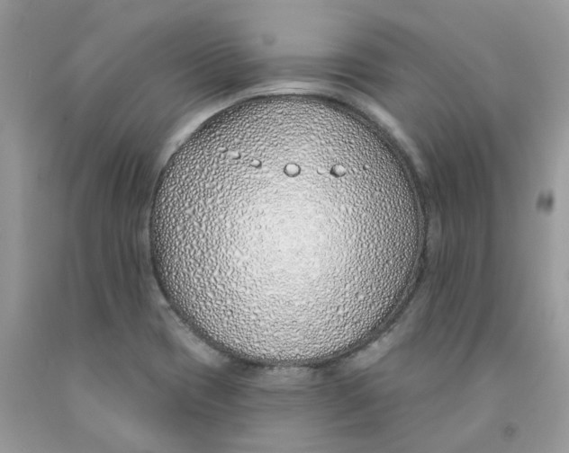 X0000091531417200709141426