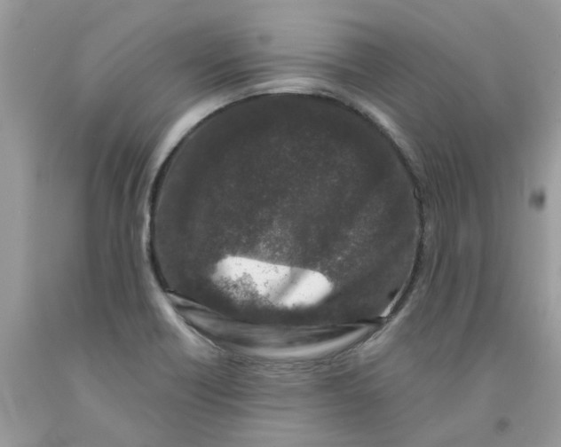 X0000091531418200709141426