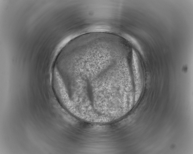 X0000091531419200709141426