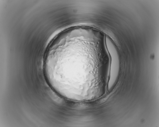 X0000091531420200709141426