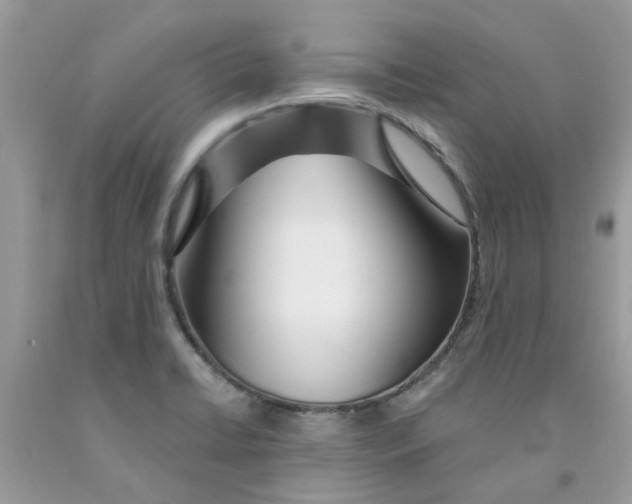 X0000091531422200709141426