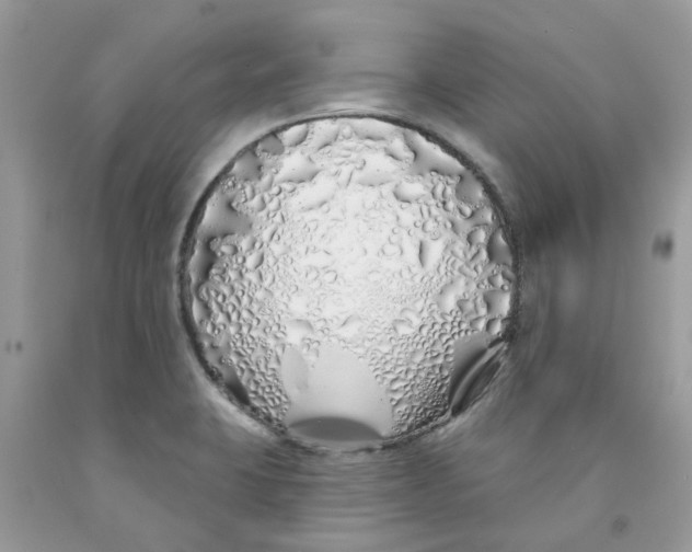 X0000091531423200709141426