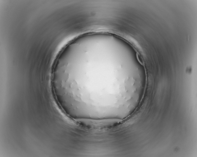 X0000091531424200709141426