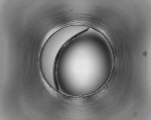 X0000091531426200709141426