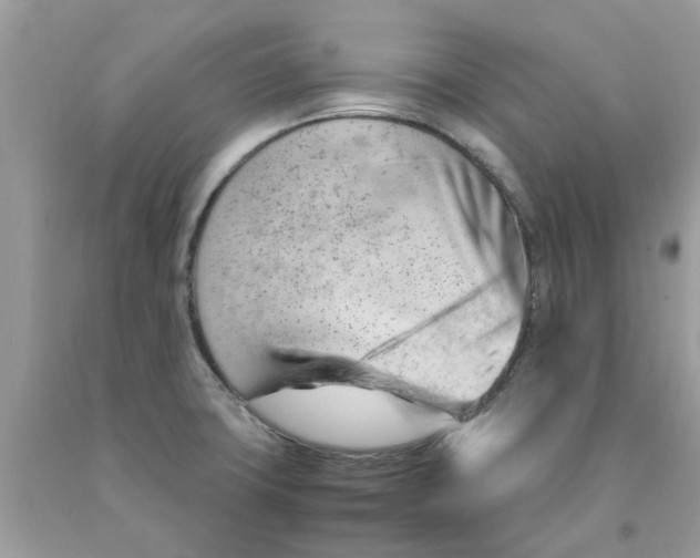 X0000091531427200709141426