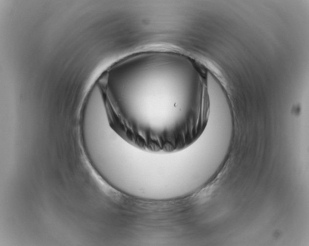X0000091531430200709141426