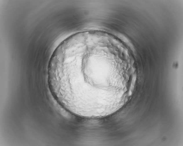 X0000091531431200709141426