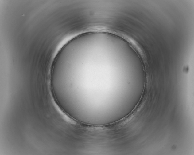 X0000091531432200709141426