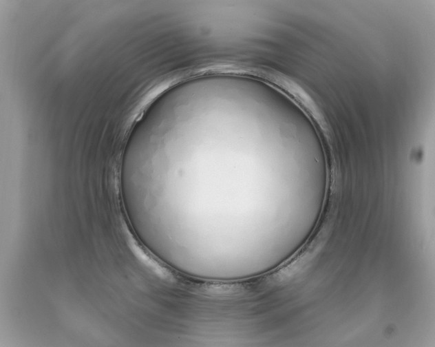 X0000091531433200709141426