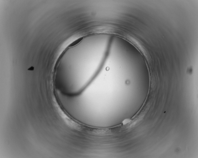X0000091531434200709141426