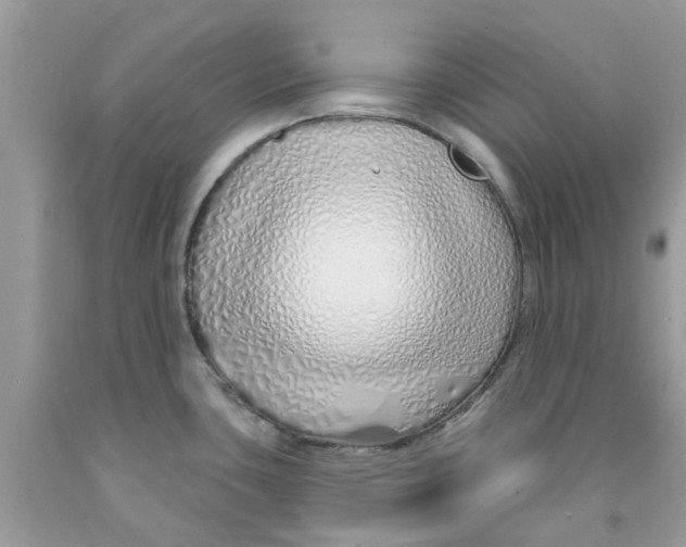 X0000091531435200709141426