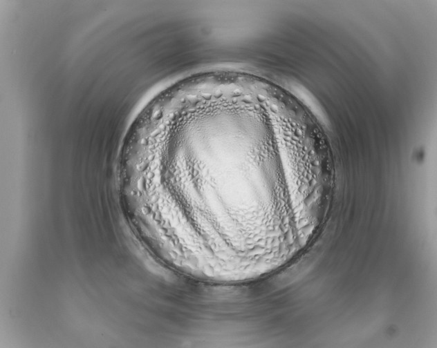X0000091531436200709141426