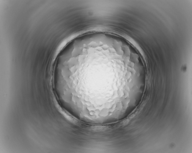 X0000091531437200709141426