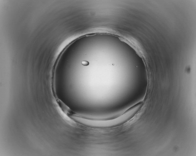 X0000091531438200709141426