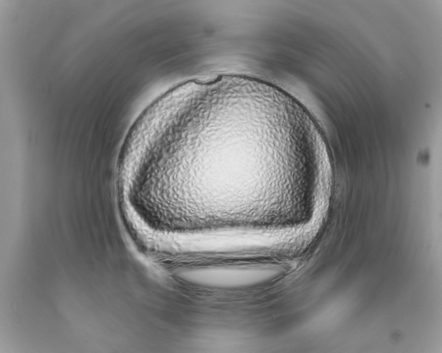 X0000091531439200709141426