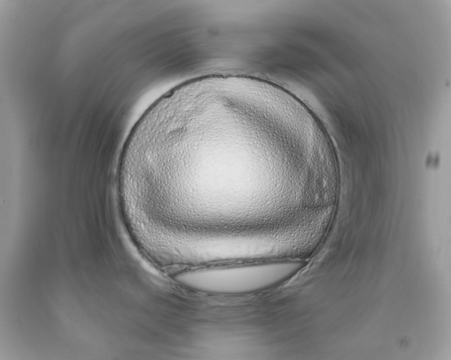 X0000091531440200709141426