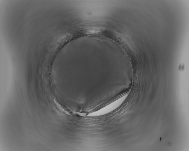 X0000091531441200709141425