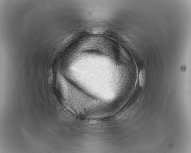 X0000091531443200709141425