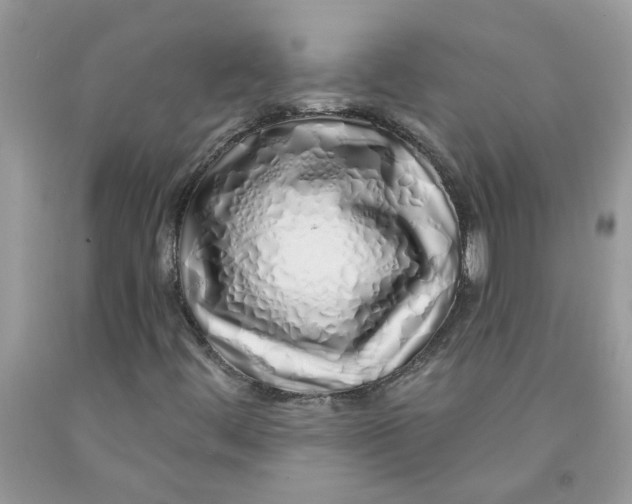 X0000091531444200709141425