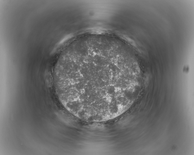 X0000091531446200709141425