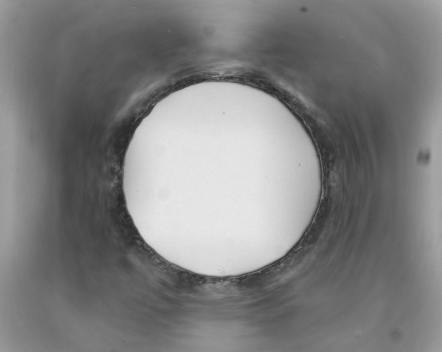 X0000091531447200709141425
