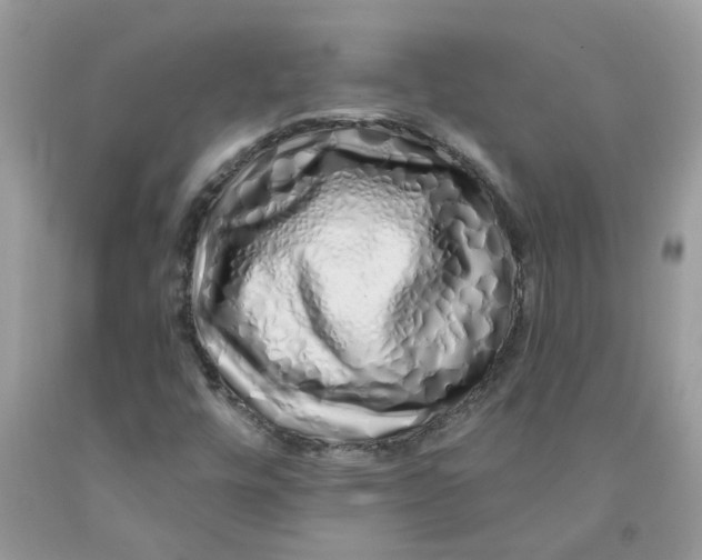 X0000091531448200709141425