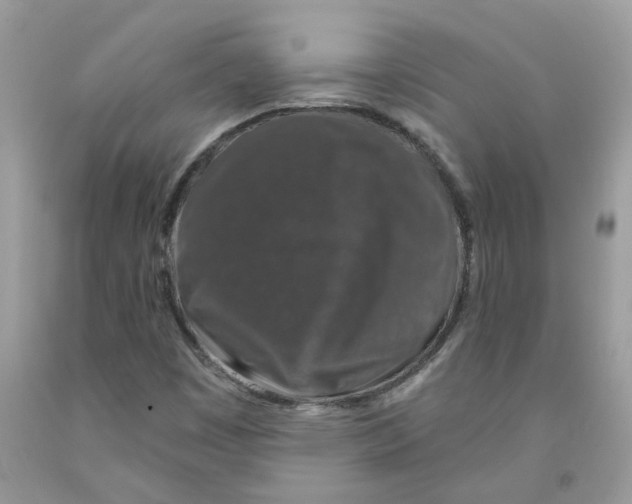 X0000091531449200709141425