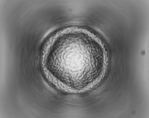 X0000091531450200709141425