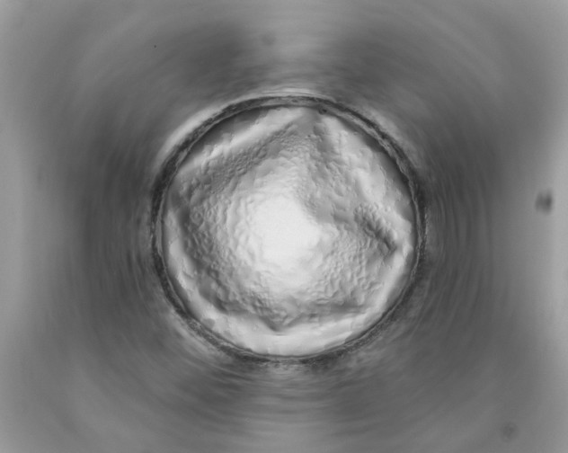 X0000091531452200709141425