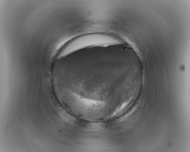 X0000091531453200709141425