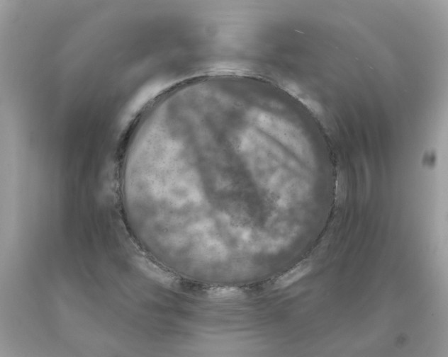 X0000091531454200709141425