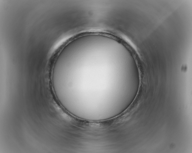 X0000091531456200709141425
