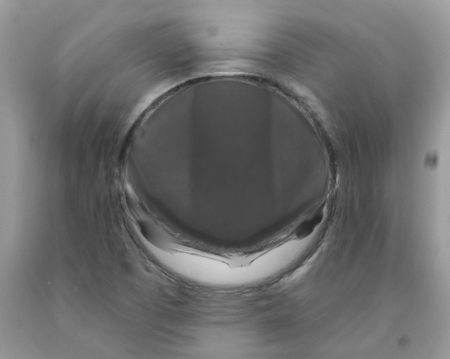 X0000091531457200709141425