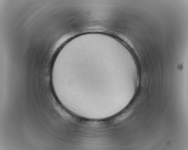 X0000091531458200709141425