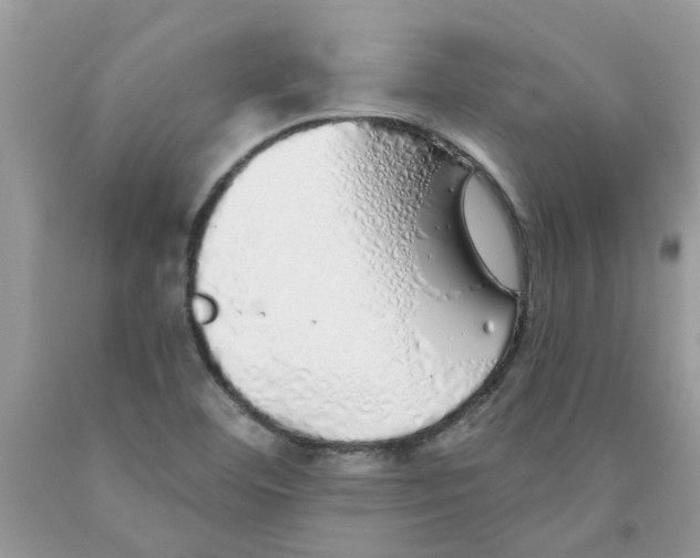 X0000091531460200709141425