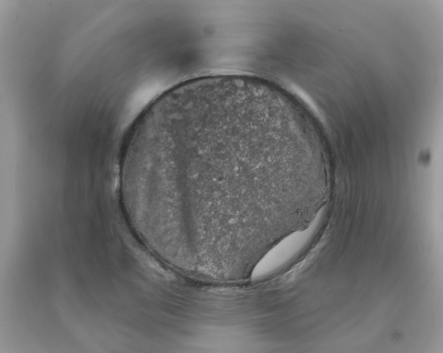 X0000091531461200709141425