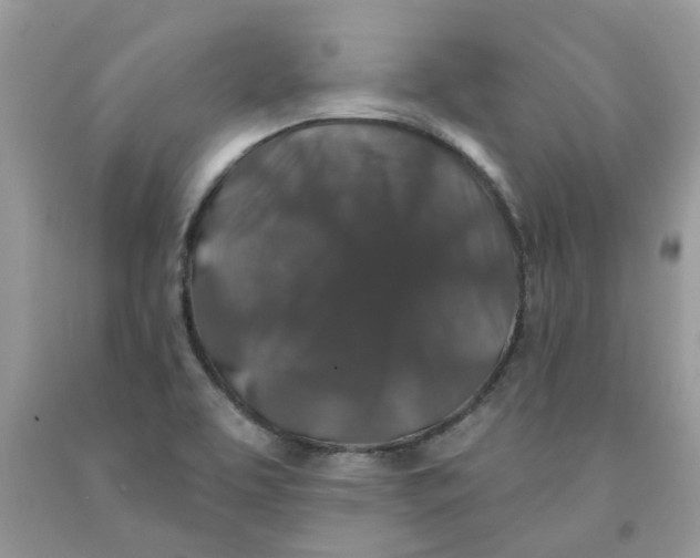 X0000091531463200709141425