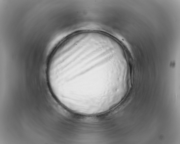 X0000091531464200709141425