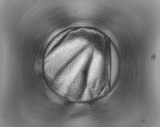 X0000091531465200709141425