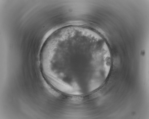 X0000091531466200709141425