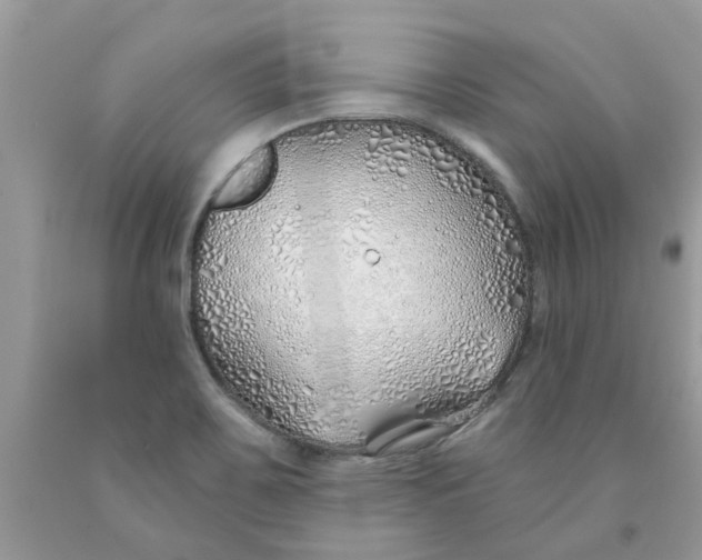 X0000091531467200709141425