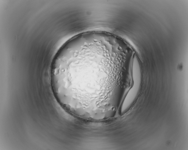 X0000091531468200709141425